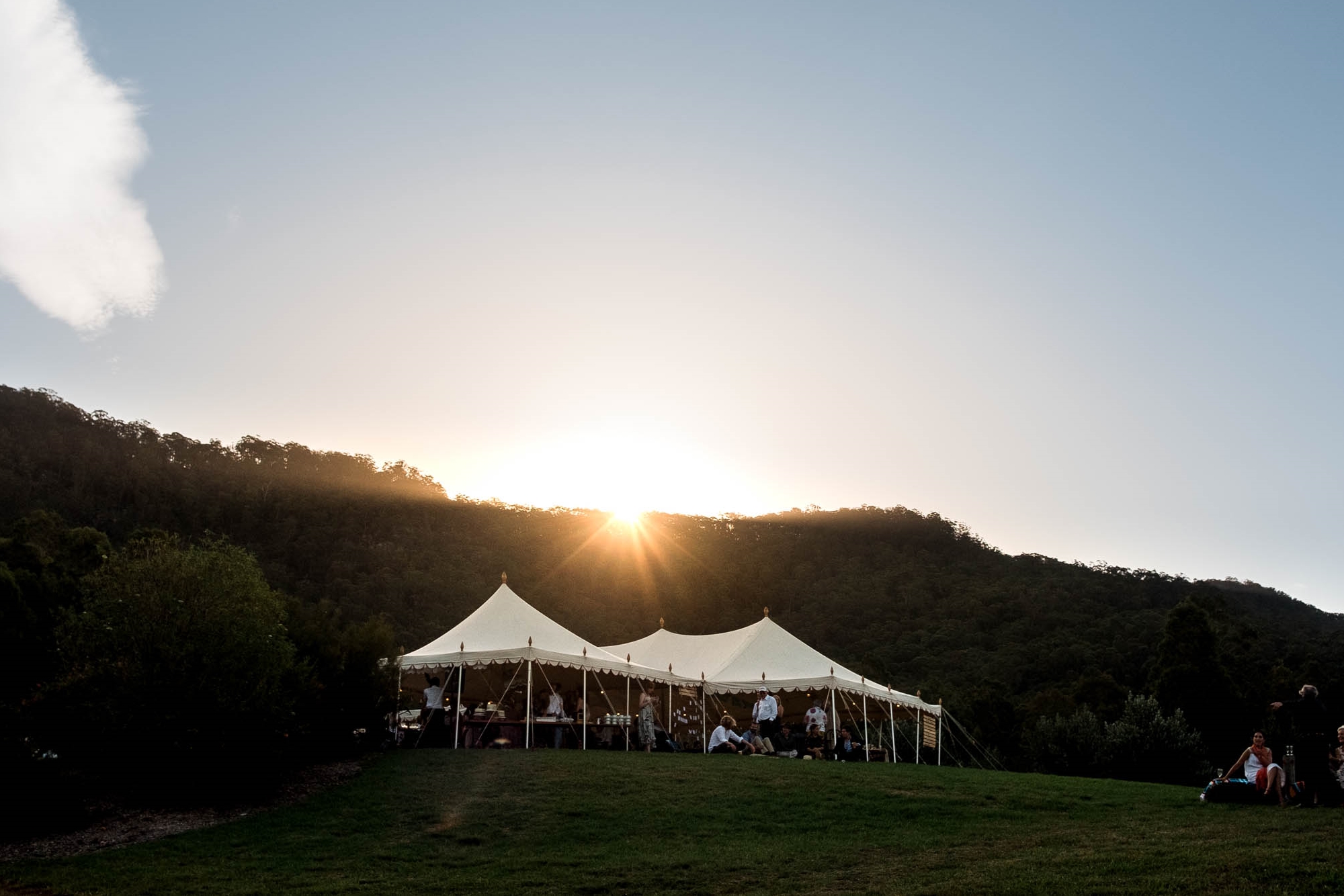 Lonely Goat Olives-1458716