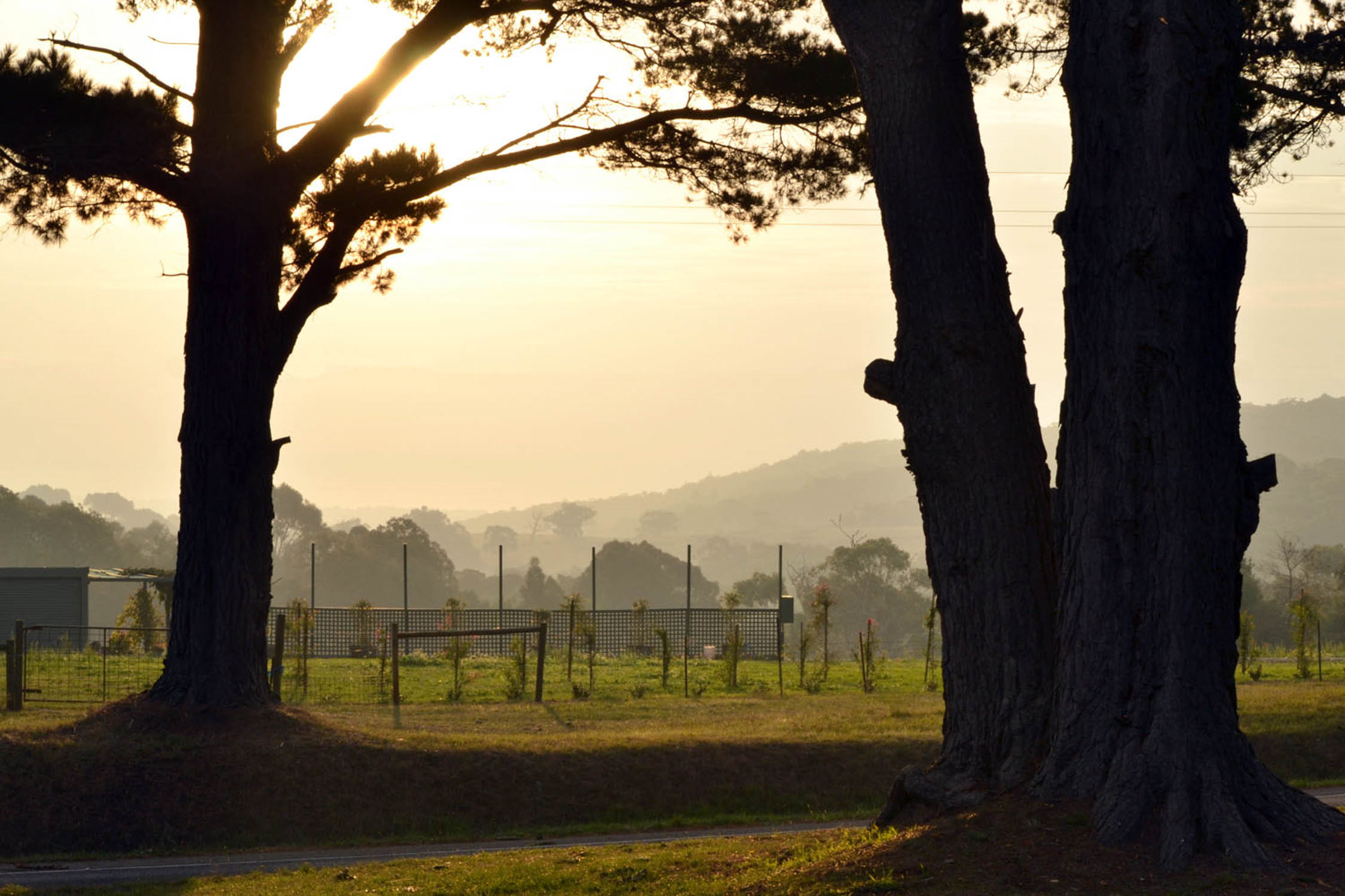 Bayview Estate-954181