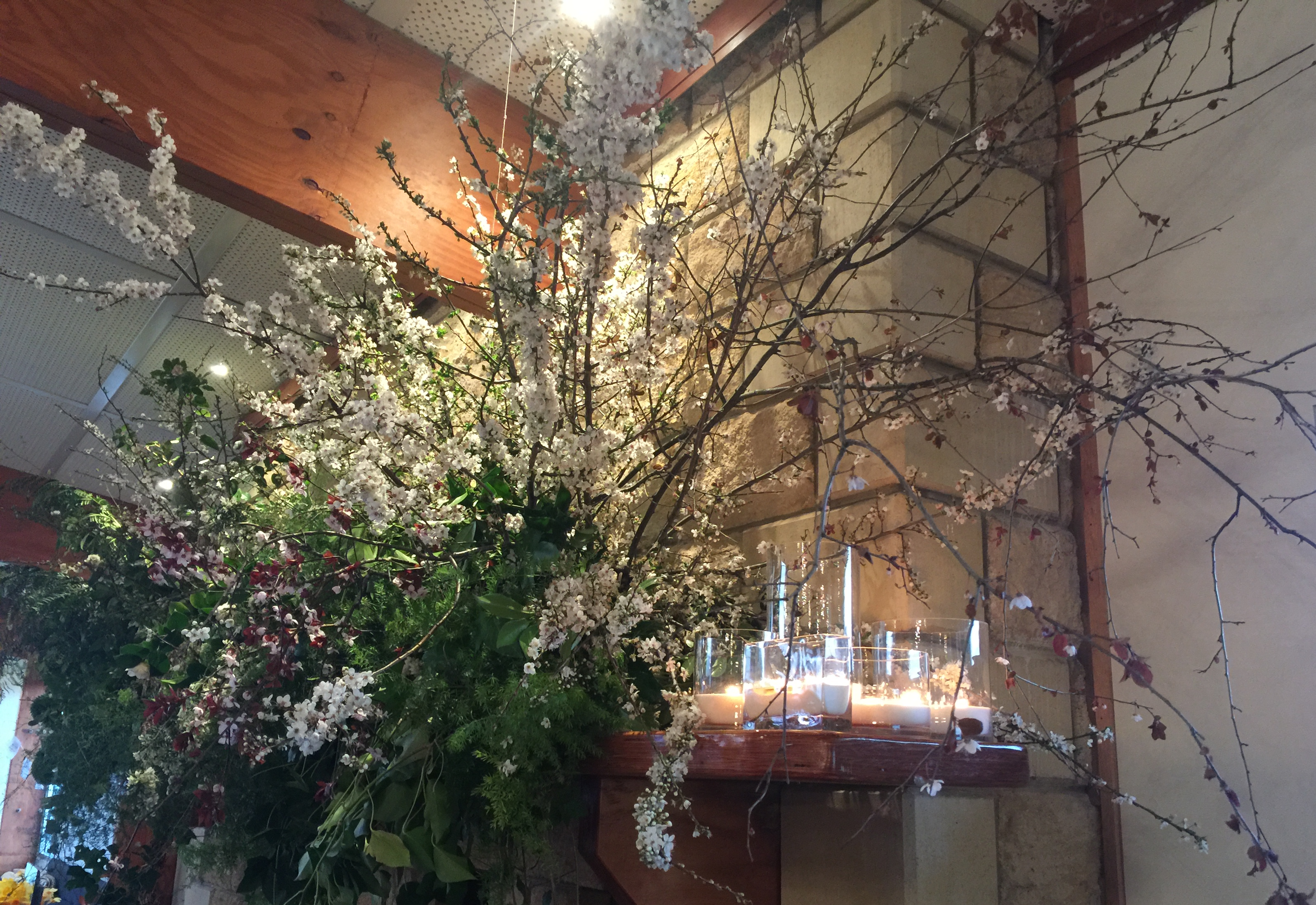 Macedon Ranges Hotel and Spa-916925