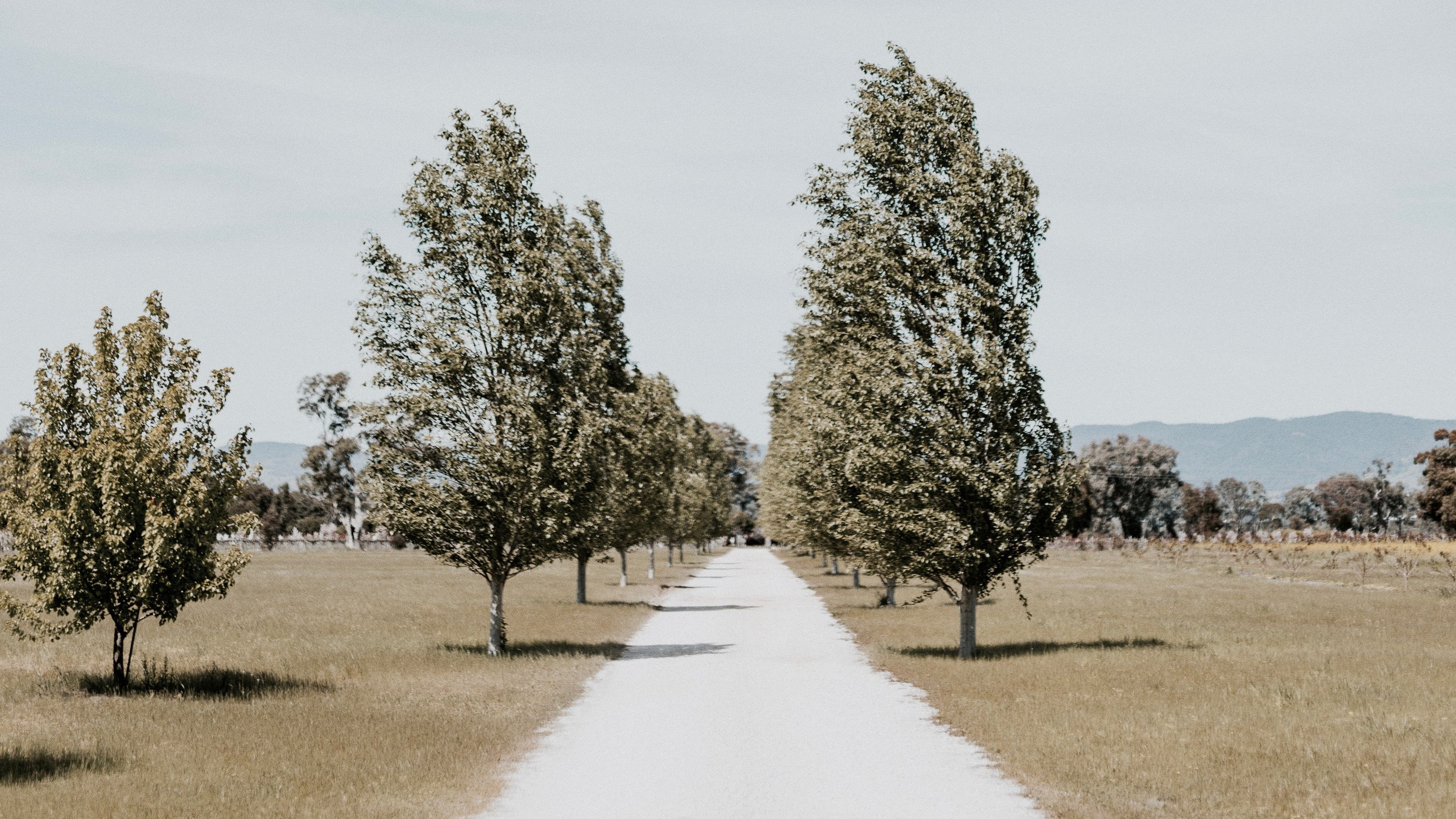 Blue Wren Farm-1202346