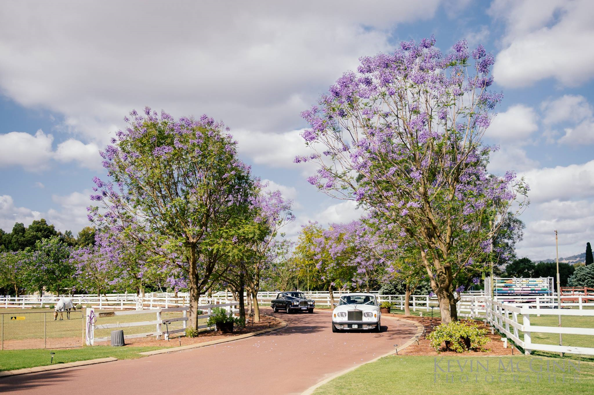 Brookleigh Estate-1171673