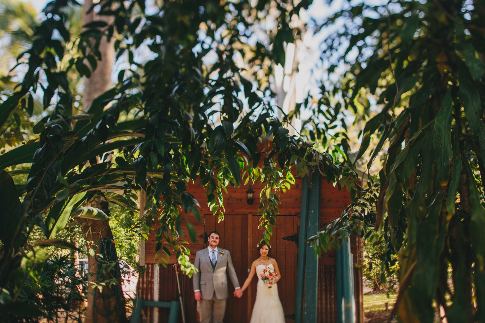 Cedar Park Rainforest Resort-1294327