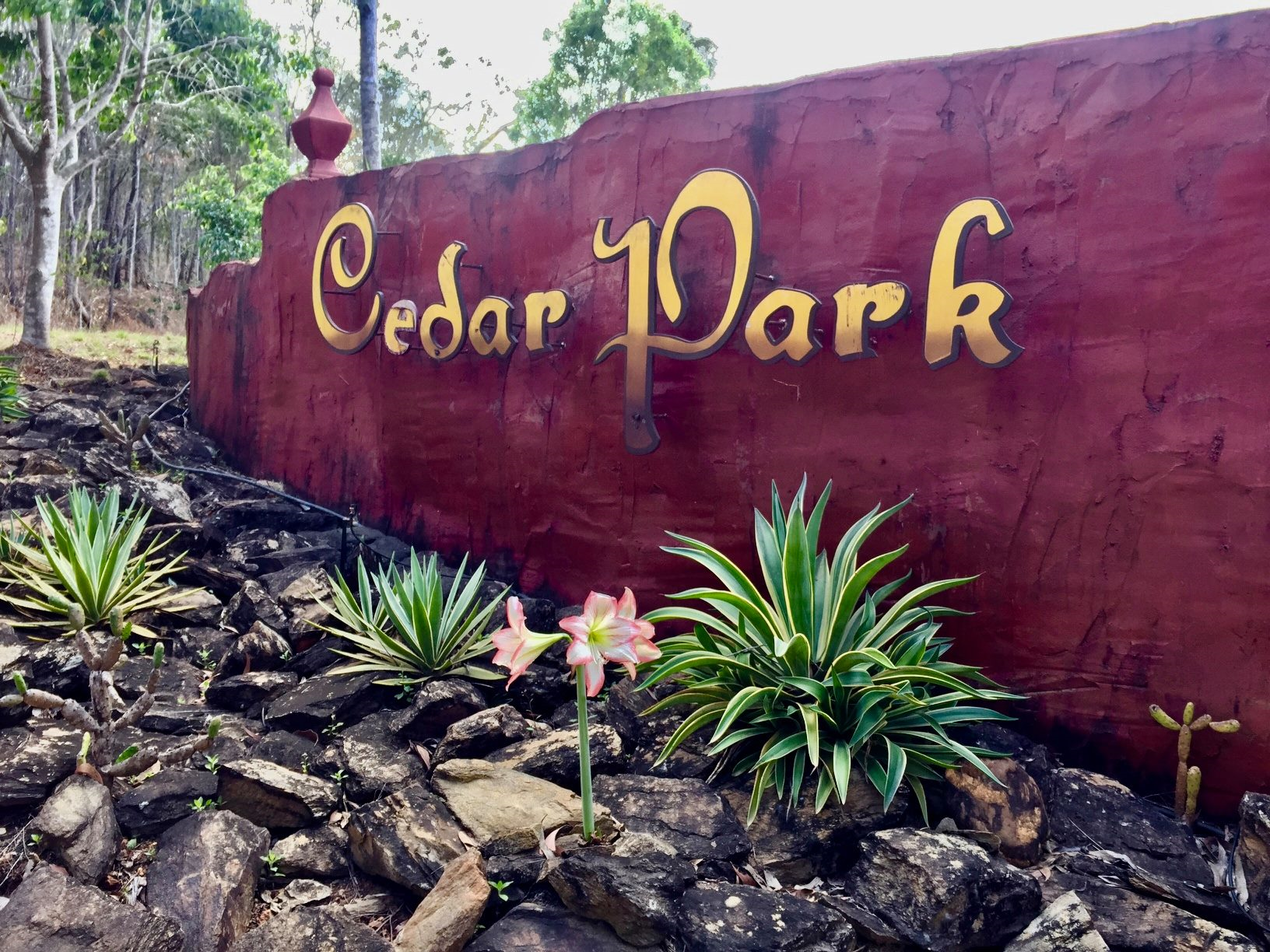 Cedar Park Rainforest Resort-1294335