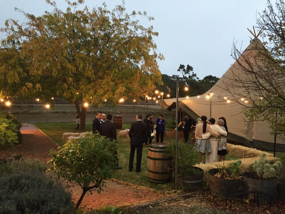 Eldredge Vineyards-1330308