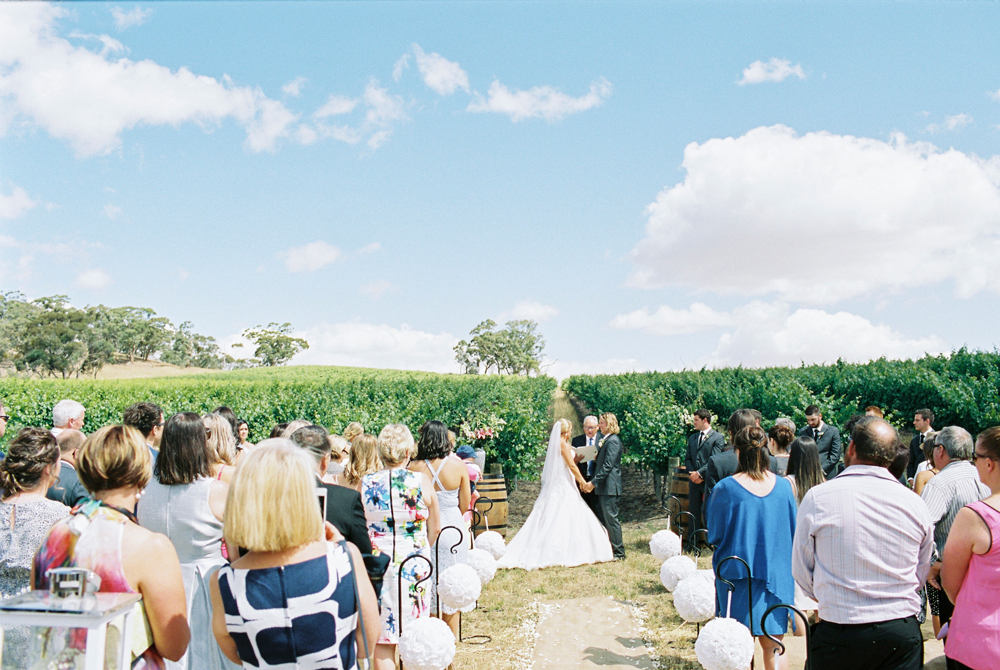 Eldredge Vineyards-1330318