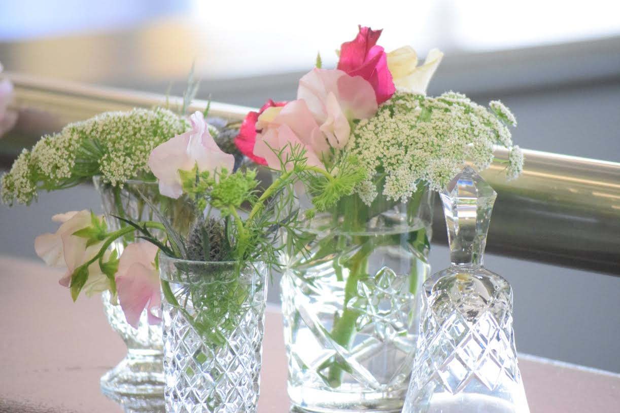 Pinjarra Paceway-823866