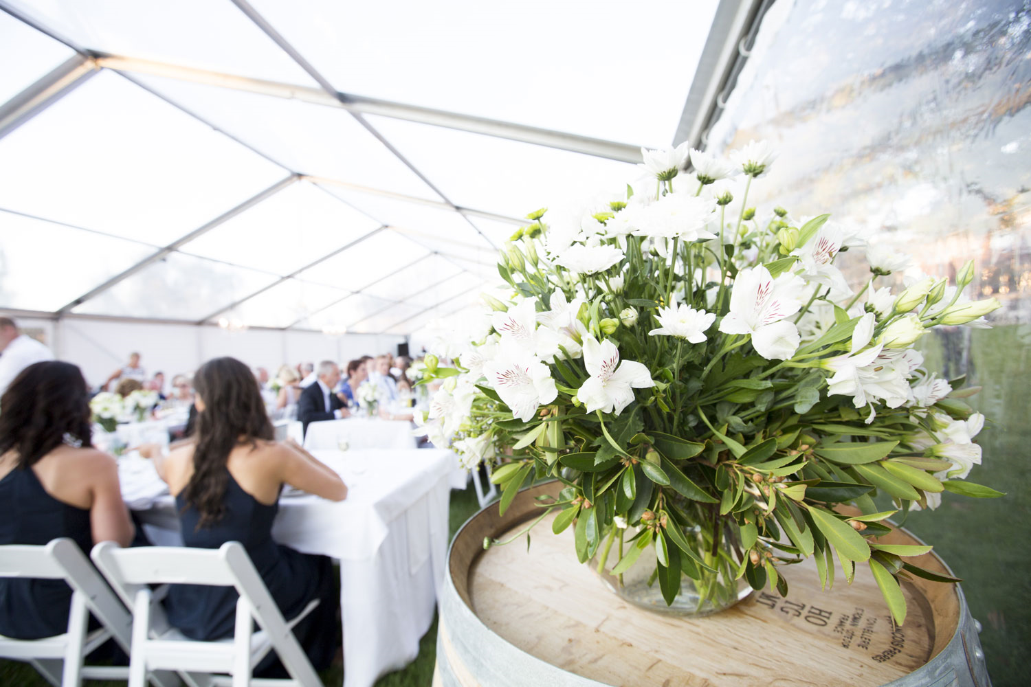 Nyllavert Gardens-945235