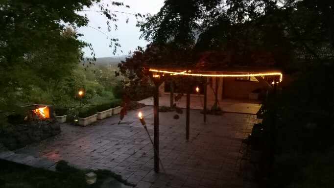 Regatta Park Weddings-1139063