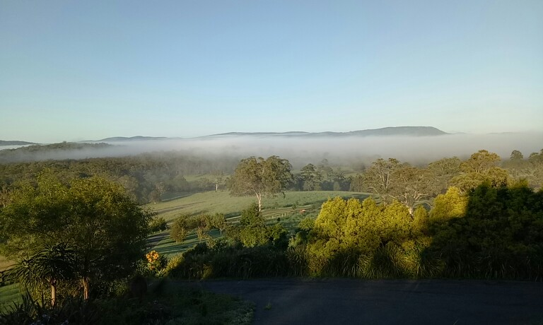 Regatta Park Weddings-1139069