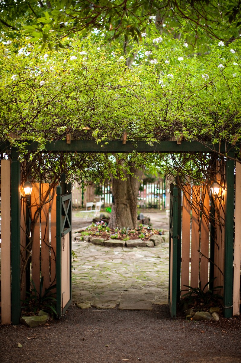 Ruby's Mount Kembla-1202848