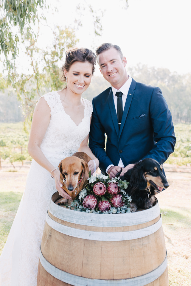 St Leonards Vineyard-976504