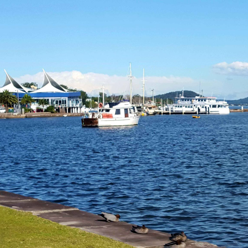 Starship Cruises-924155