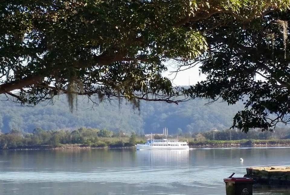 Starship Cruises-924177