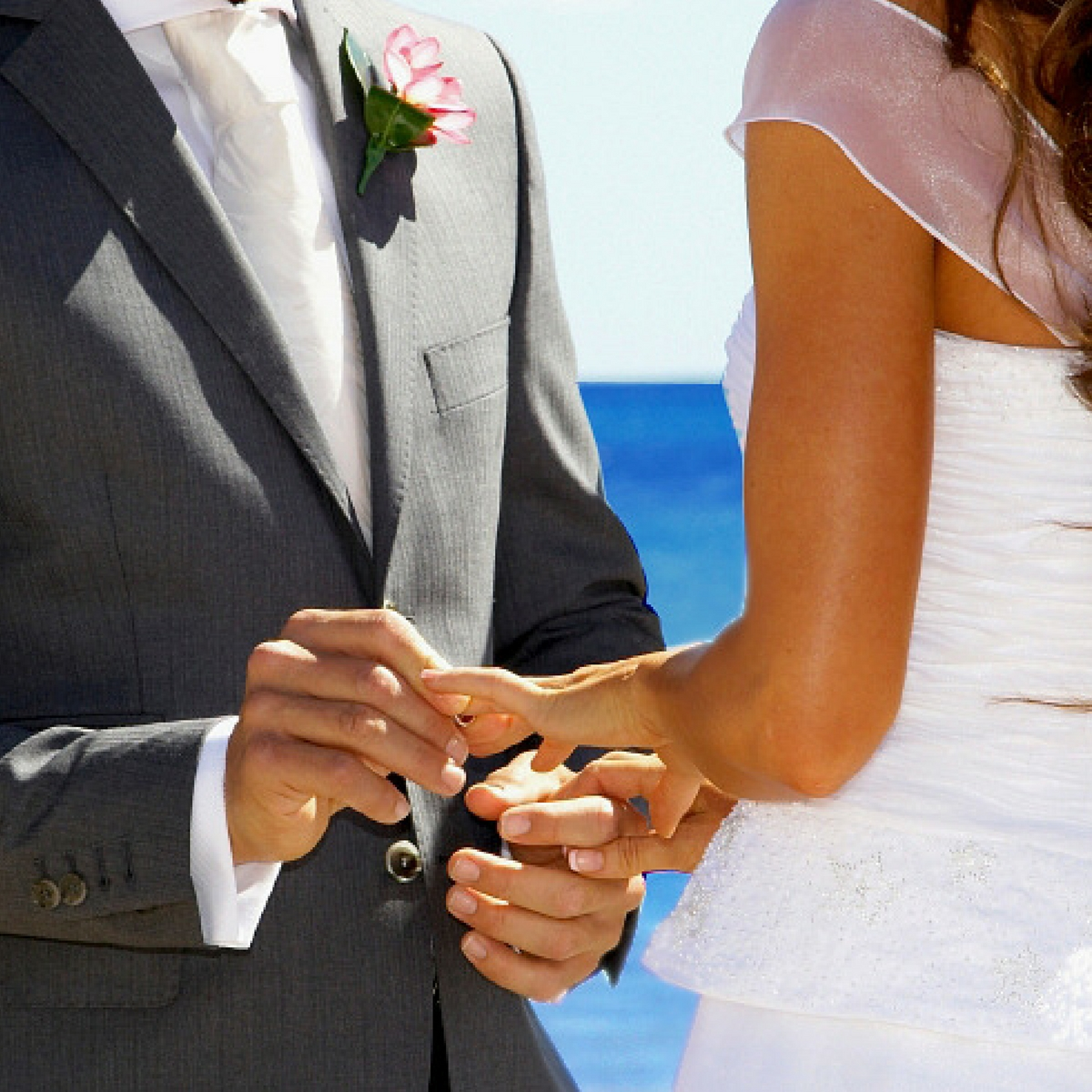 Vagabond Cruises-878325