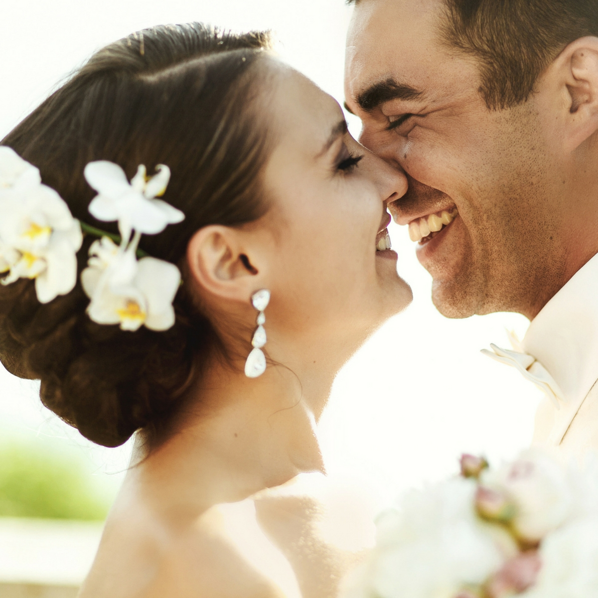 Vagabond Cruises-878363