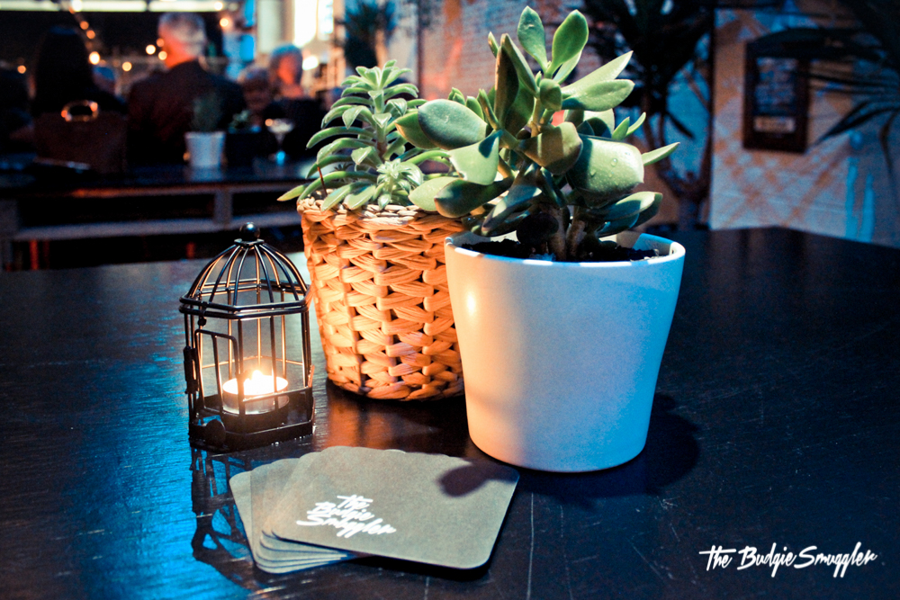 The Budgie Smuggler-915834