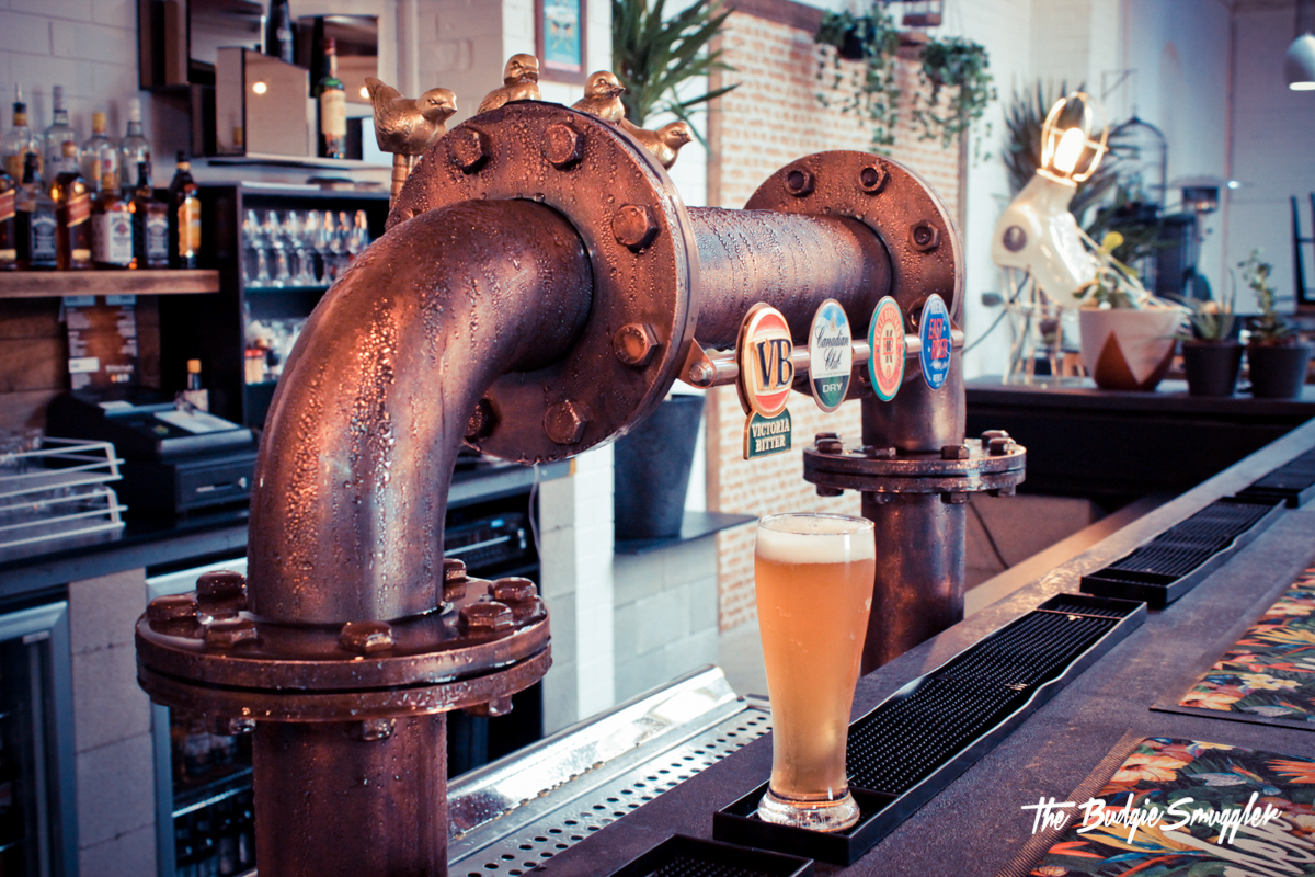 The Budgie Smuggler-915853