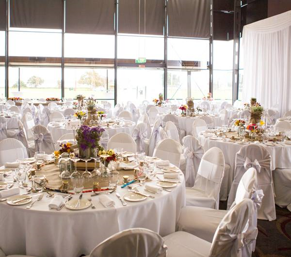 Tompkins on Swan-1325594