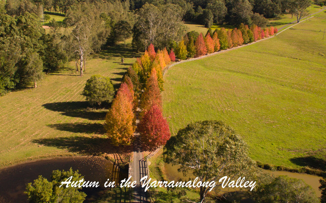 Wyong Creek Hall-1297707