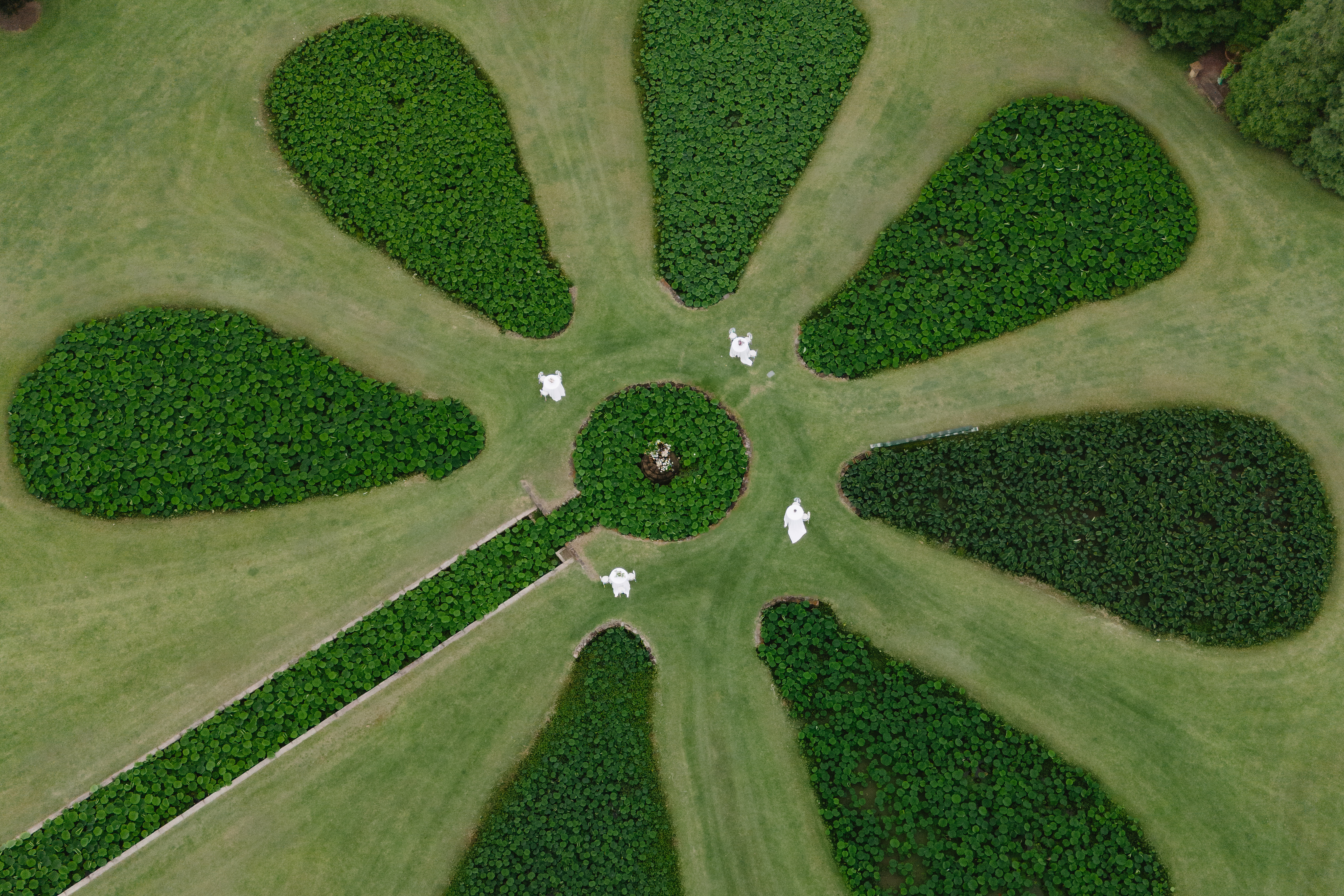 Albion Farm Gardens-2418264