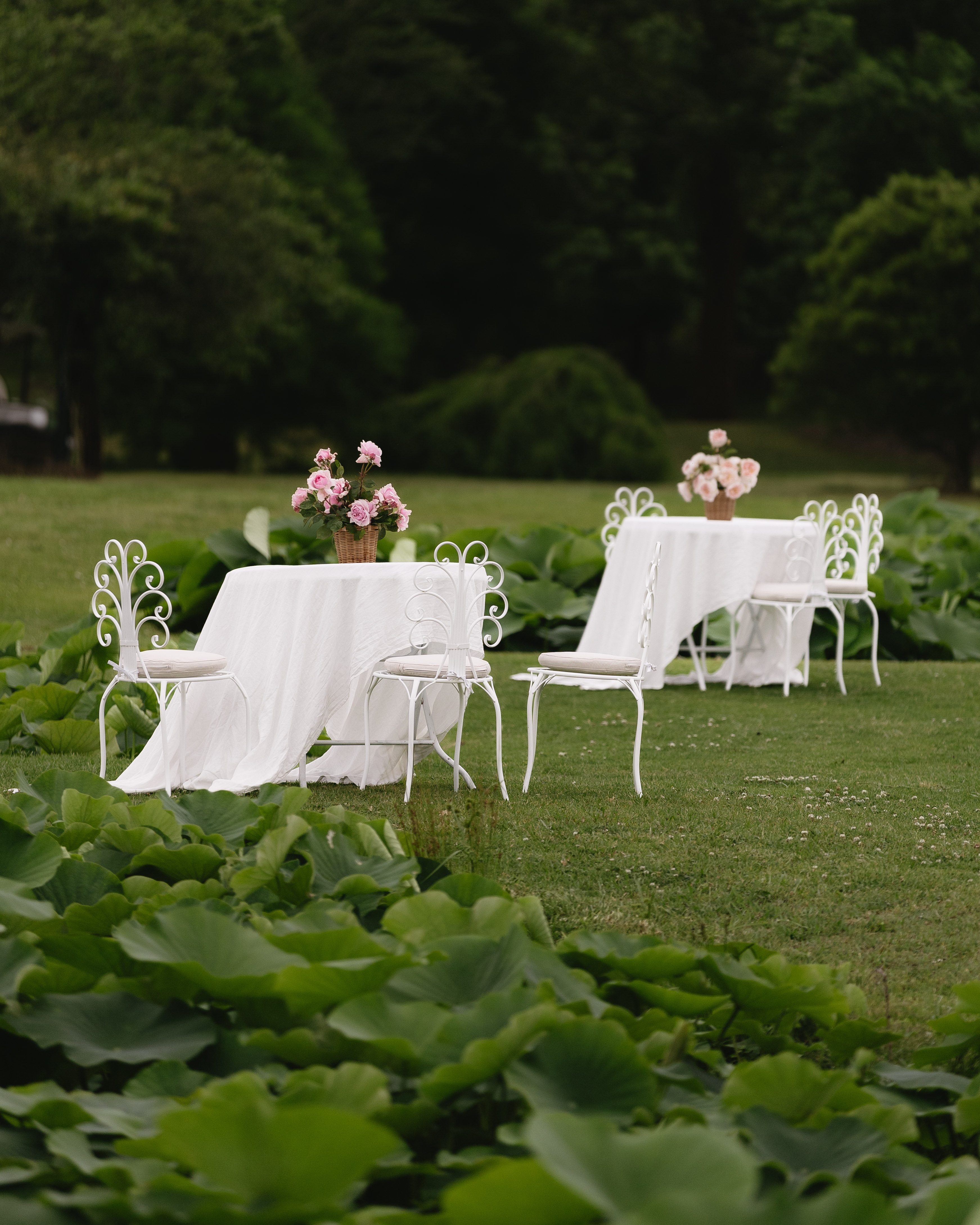 Albion Farm Gardens-2418254