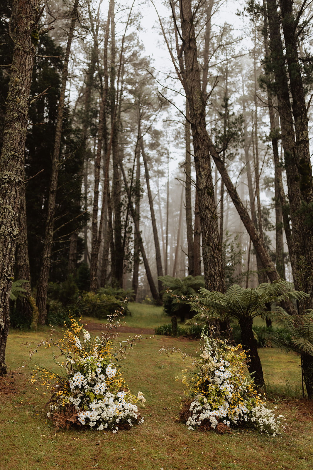 Allview Escape Blackheath-2447940