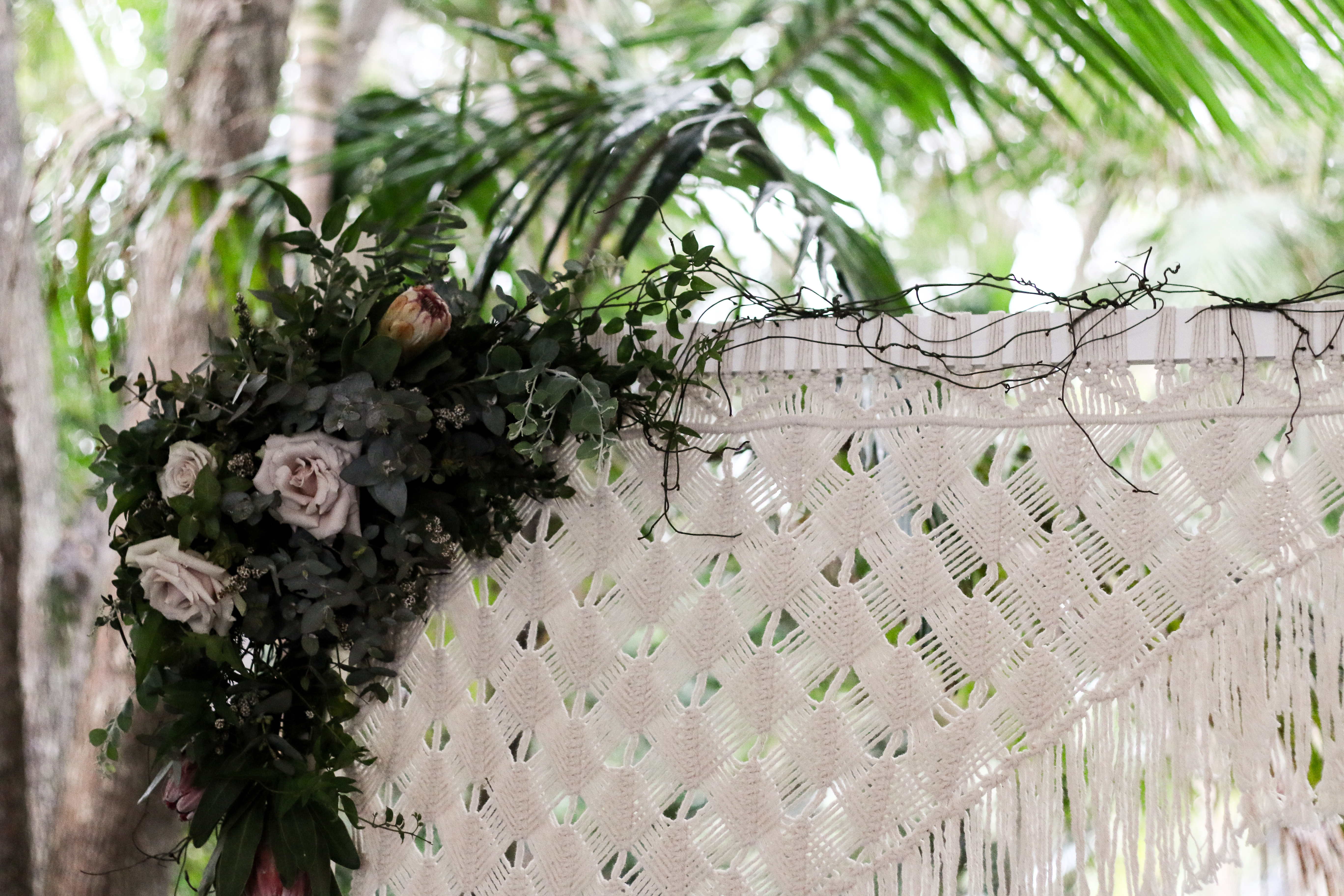 Angourie Resort-2465169