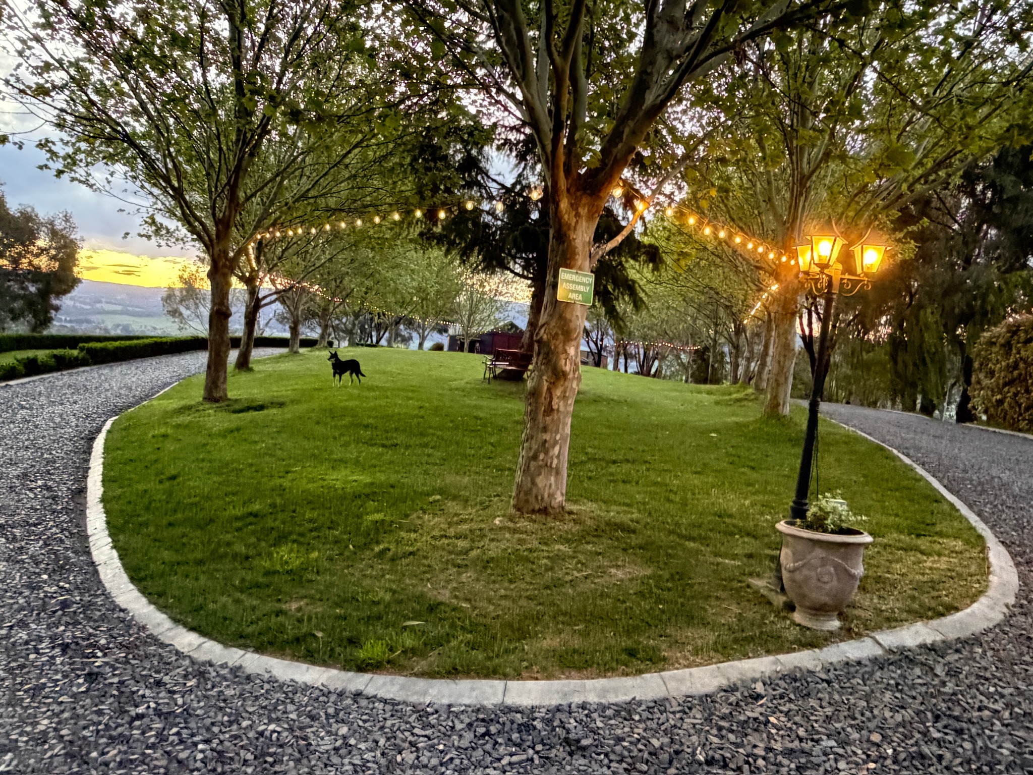 Annies Retreat-2486566