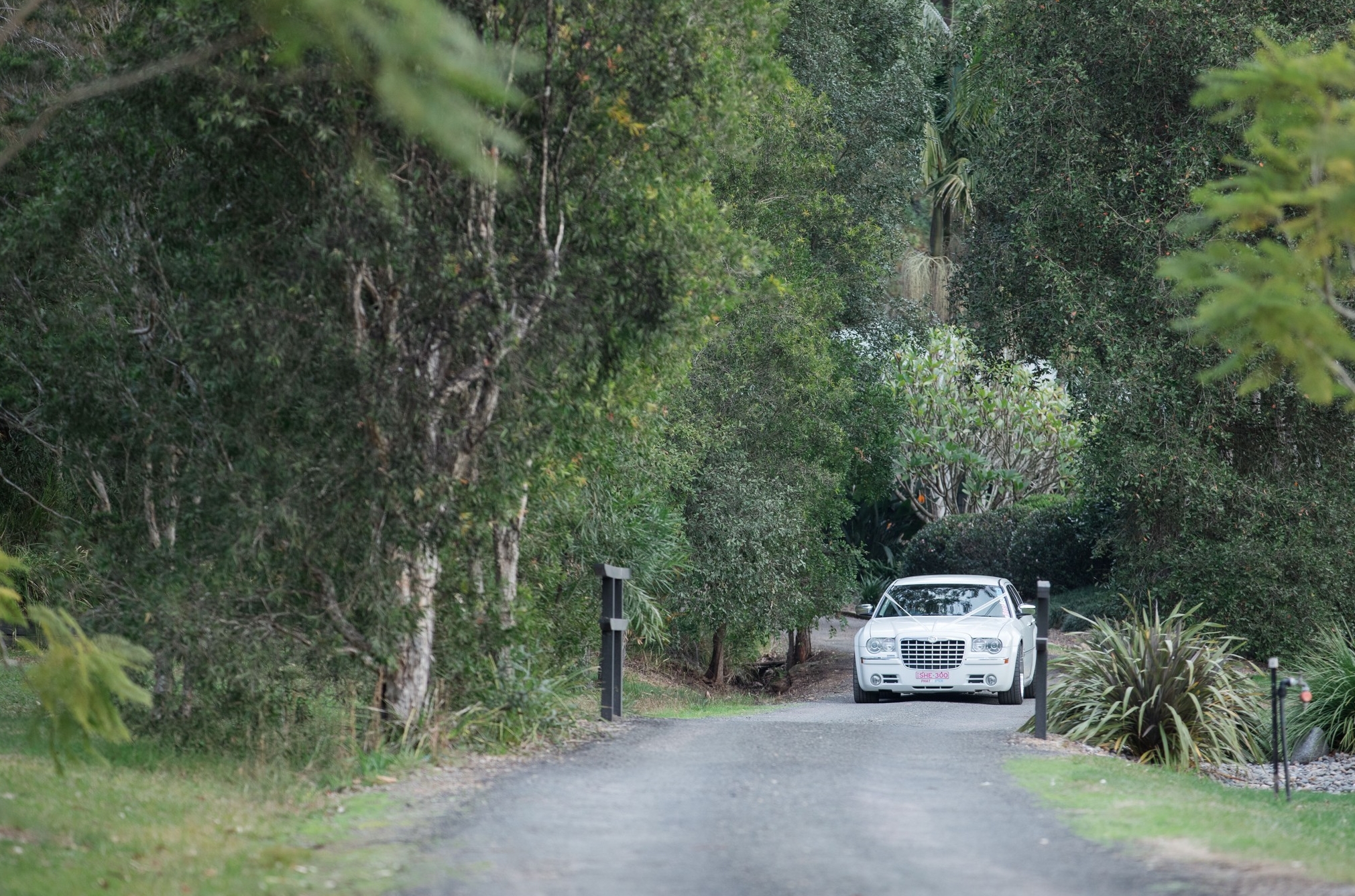 Our Secret Garden-1984590