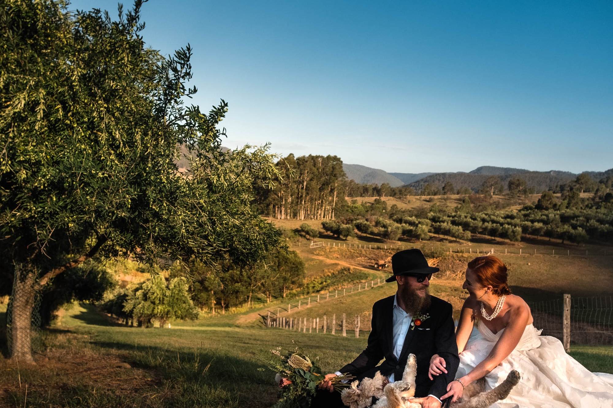 Lonely Goat Olives-1313105