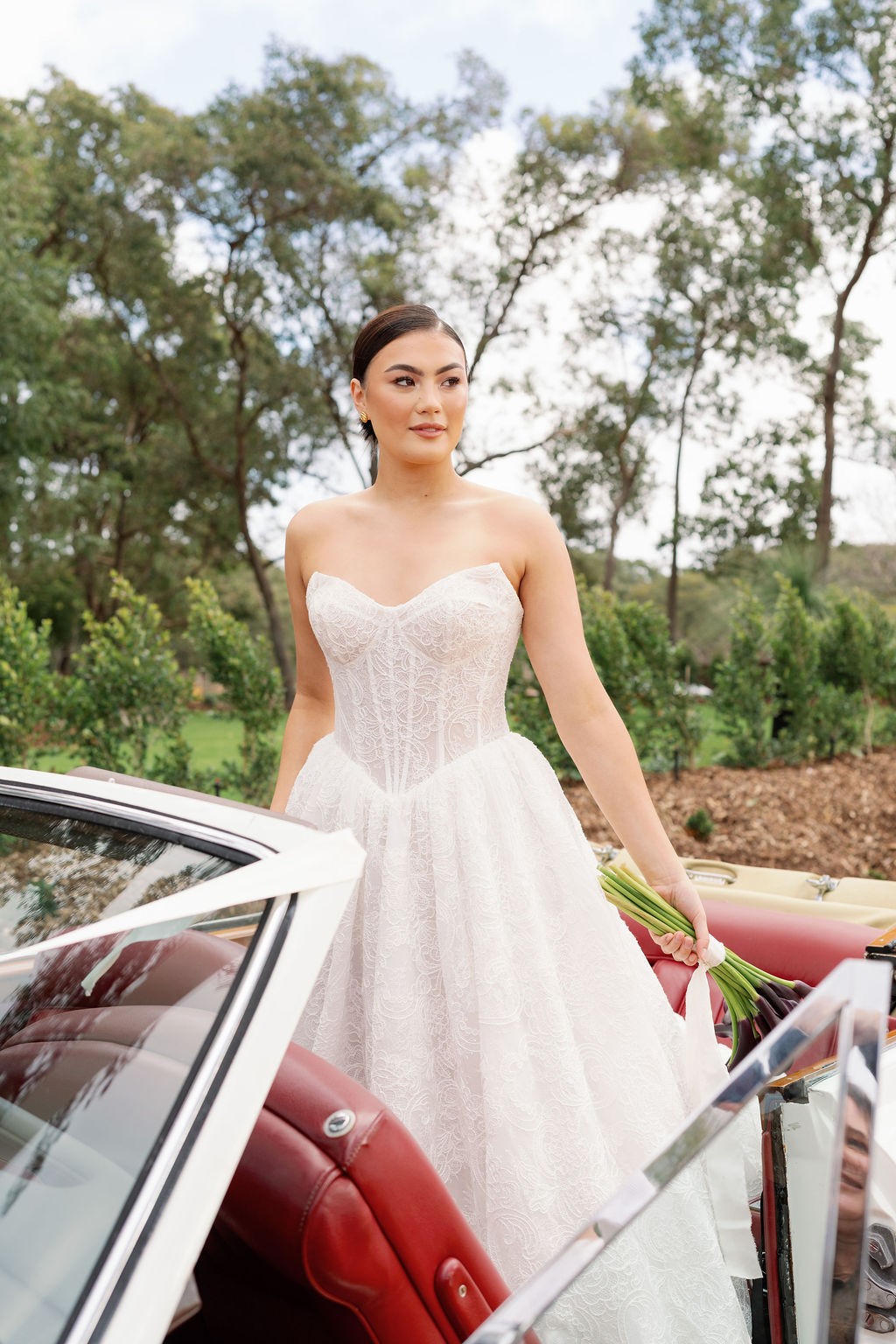 Balmain Estate-2474630