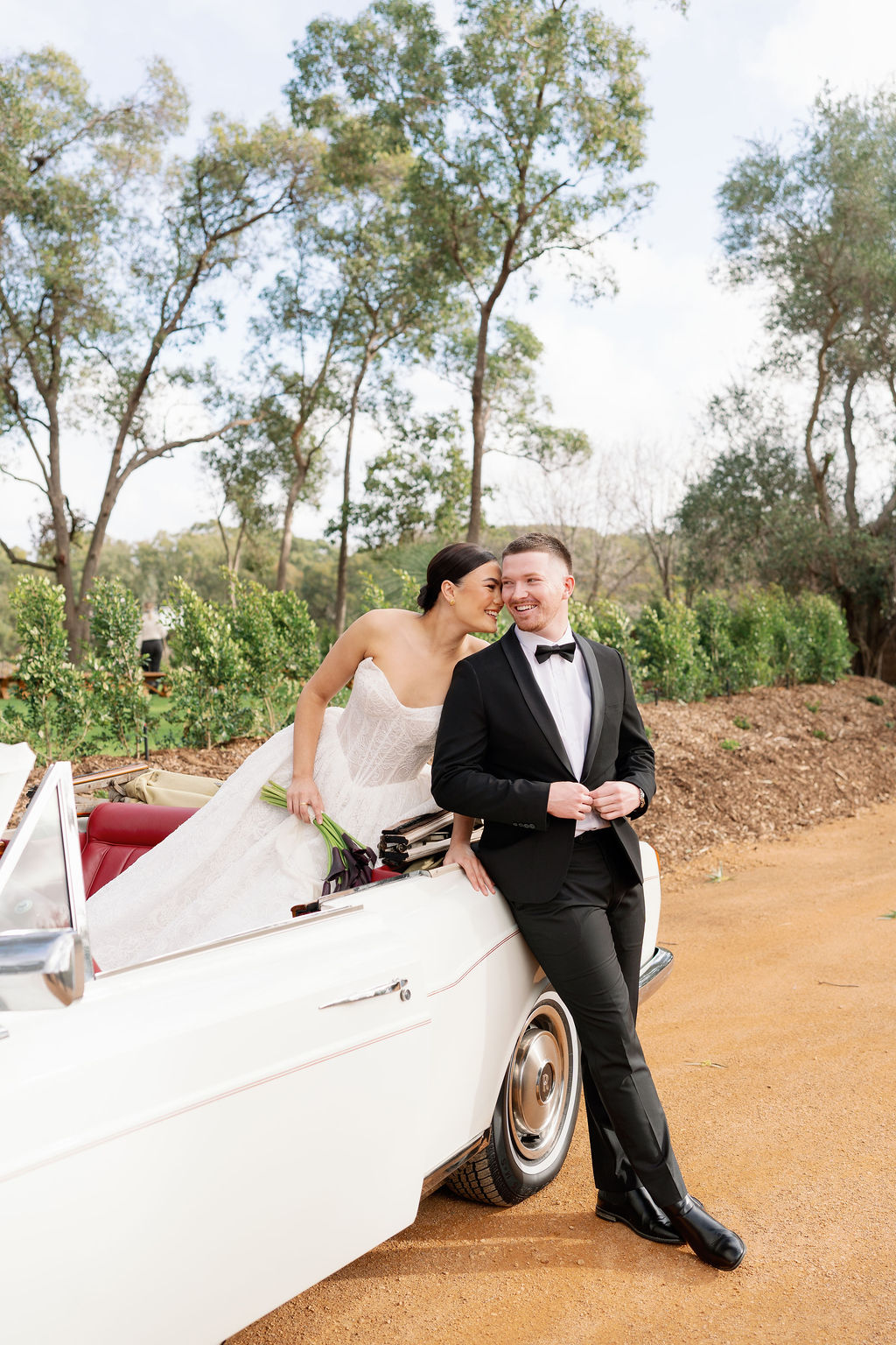 Balmain Estate-2474629