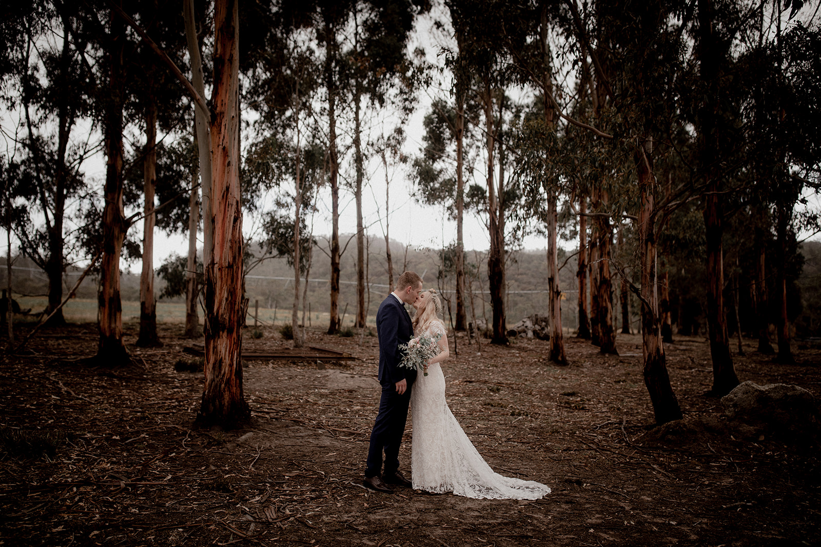 Bangor Vineyard Shed-2483163