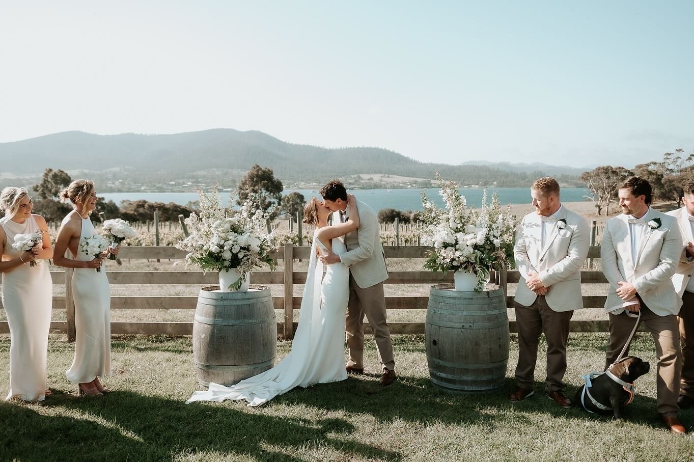 Bangor Vineyard Shed-2480226