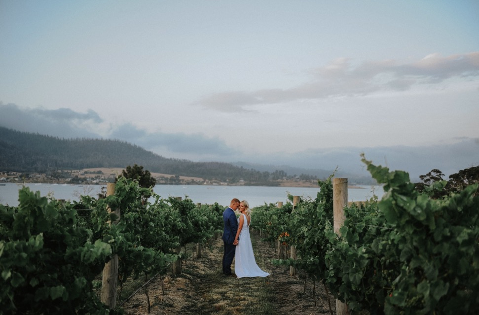 Bangor Vineyard Shed