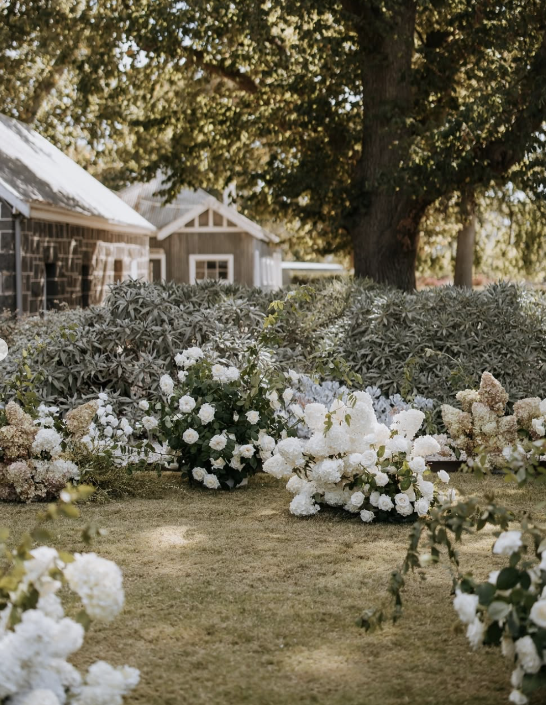 Barunah Plains-2447548