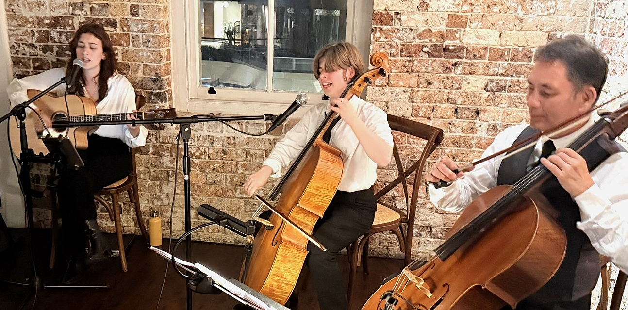 Beach Symphony - Modern Strings to Full Wedding Band