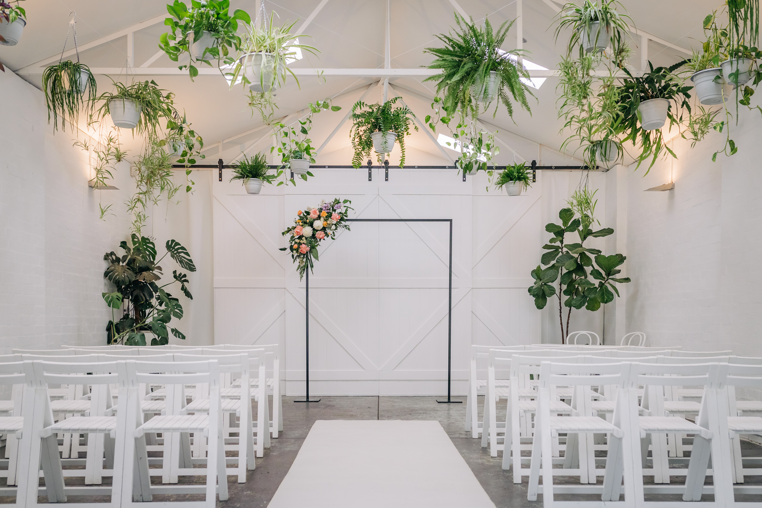 Beneath the Ferns-2283758