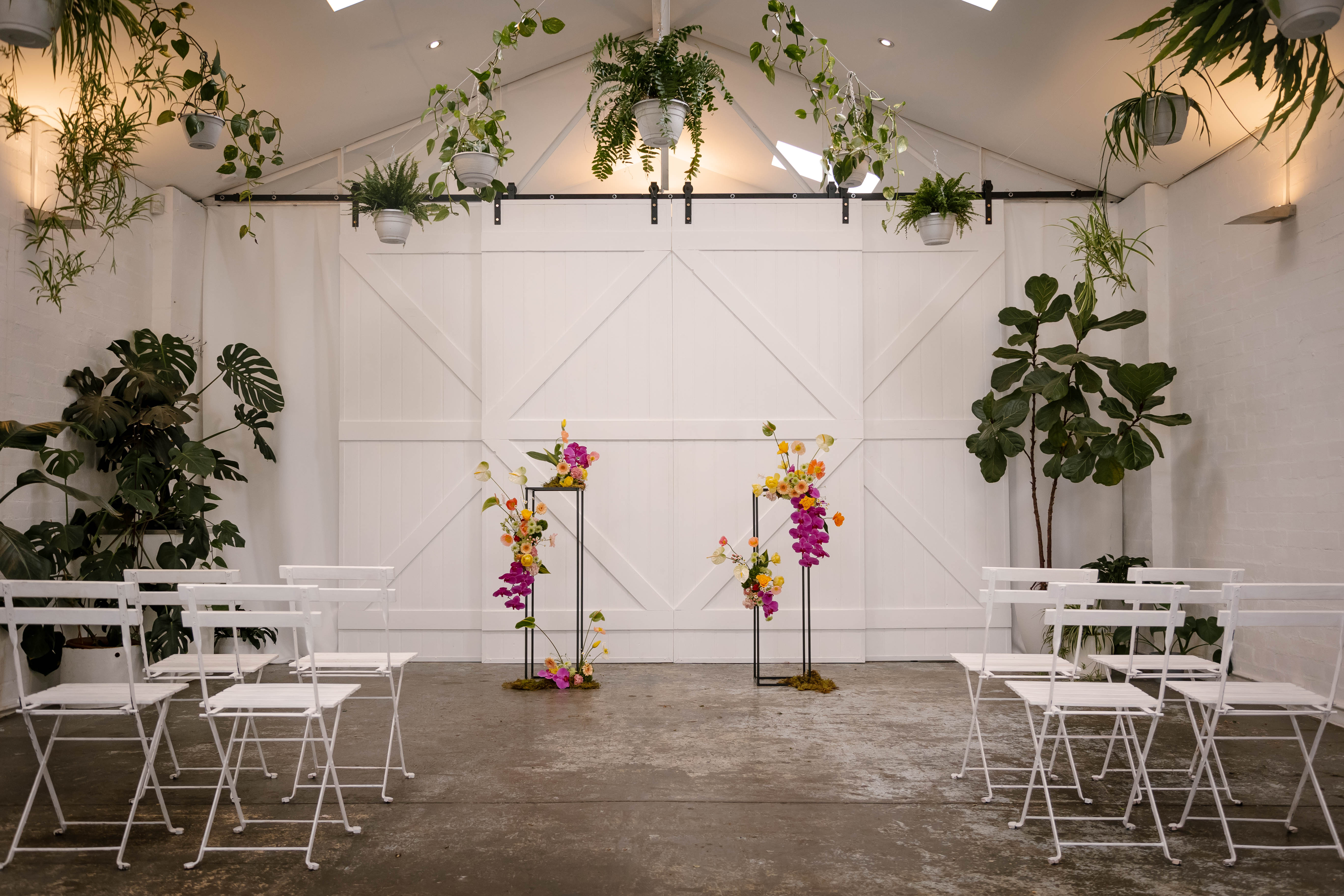 Beneath the Ferns-2290322