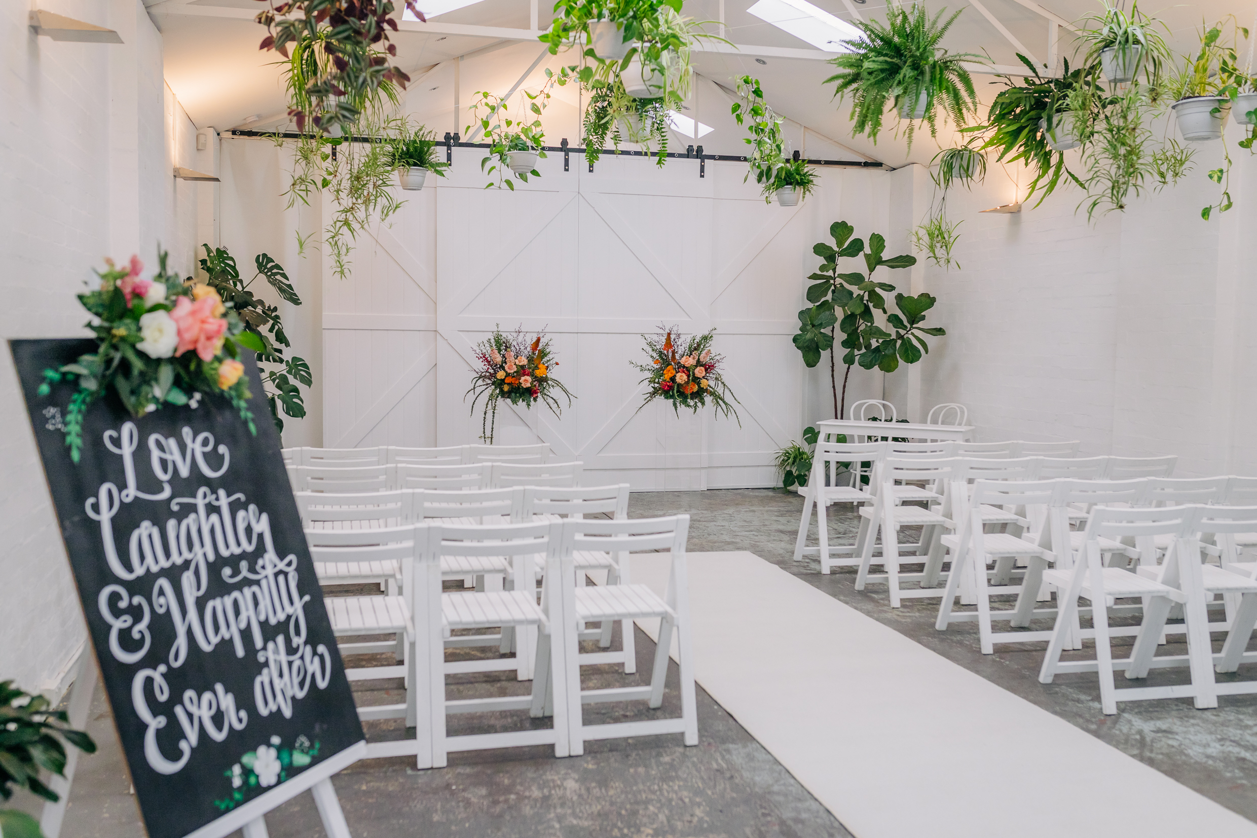 Beneath the Ferns-2283757