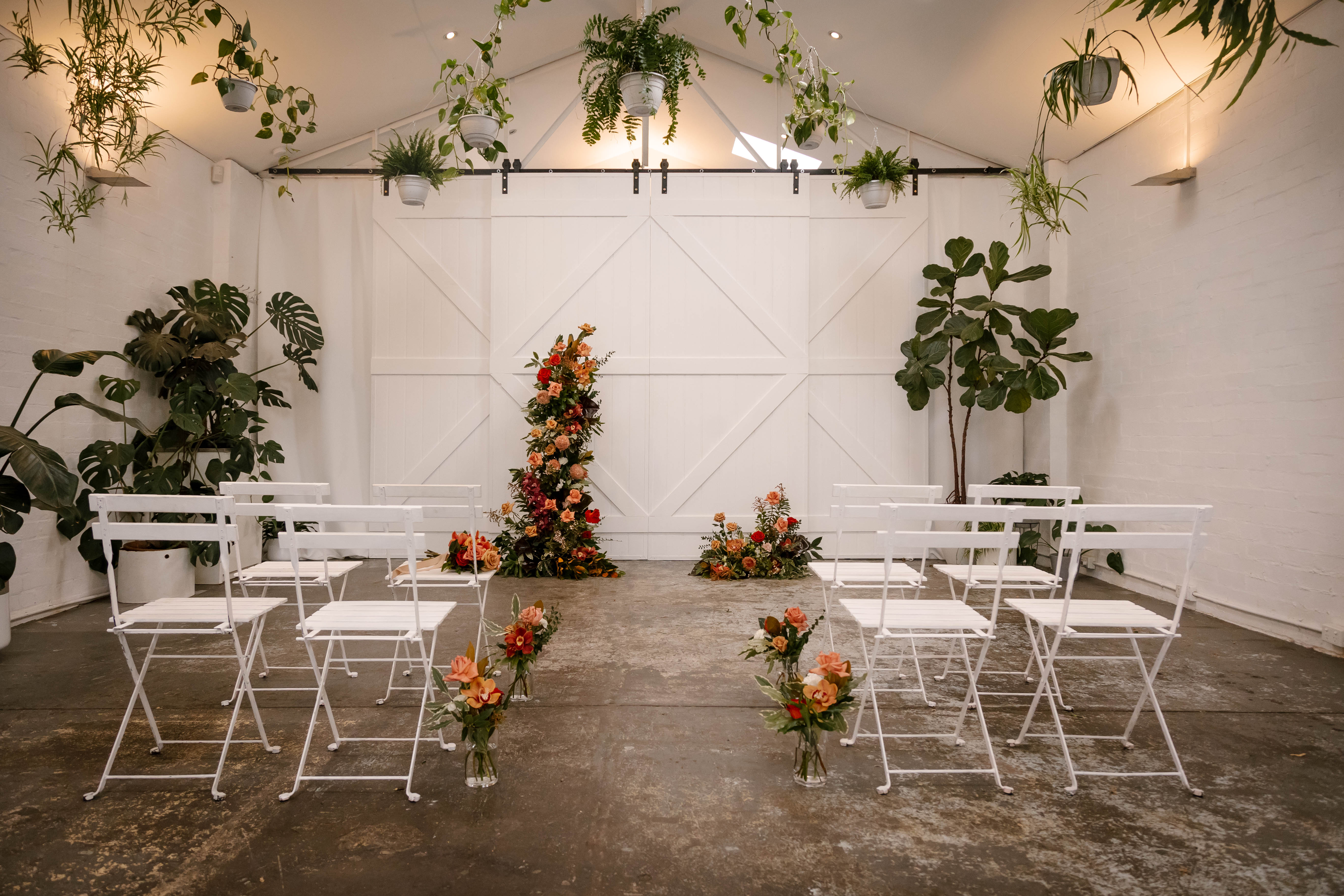 Beneath the Ferns-2290320