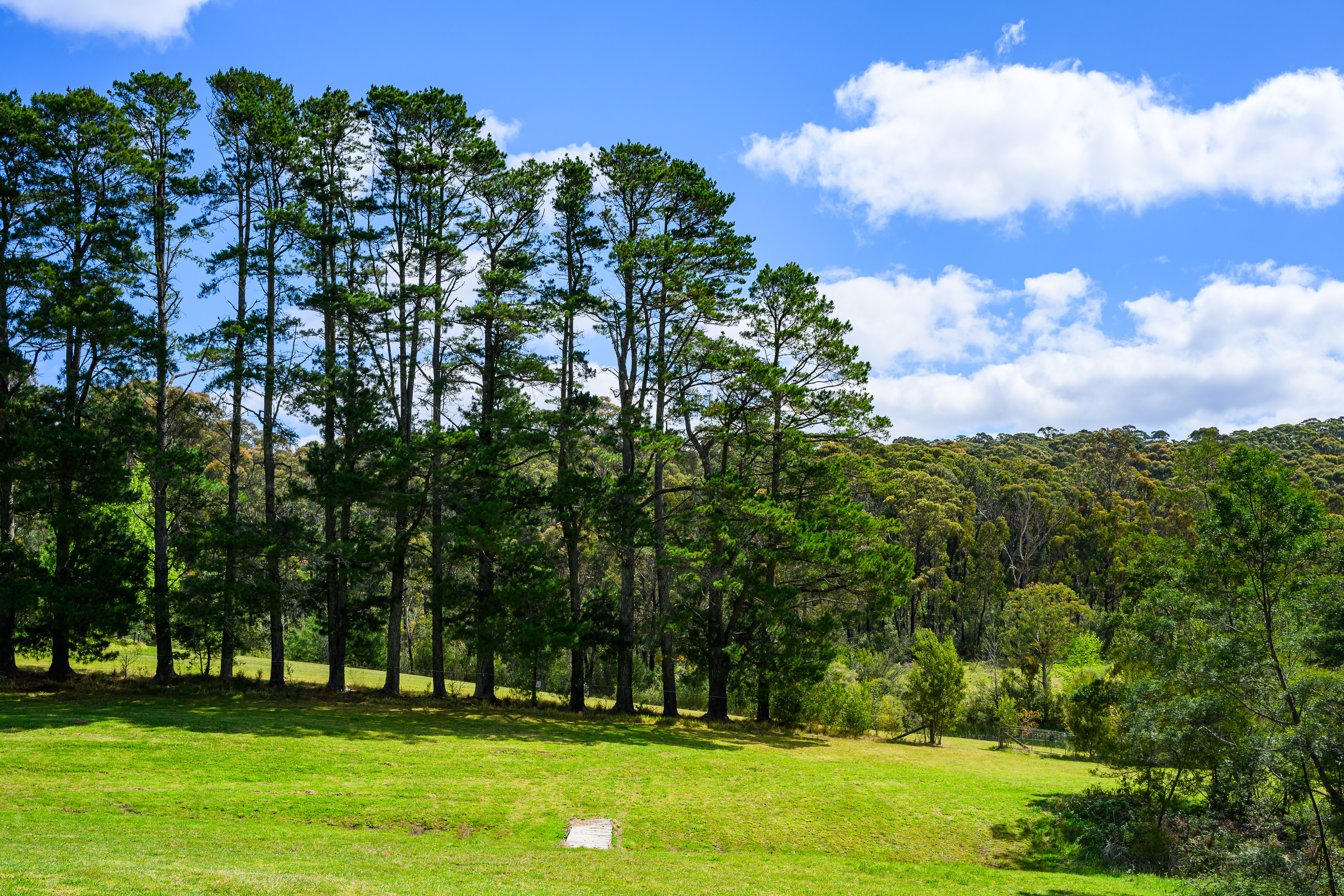 Bilpin Mountains Weddings-2451612