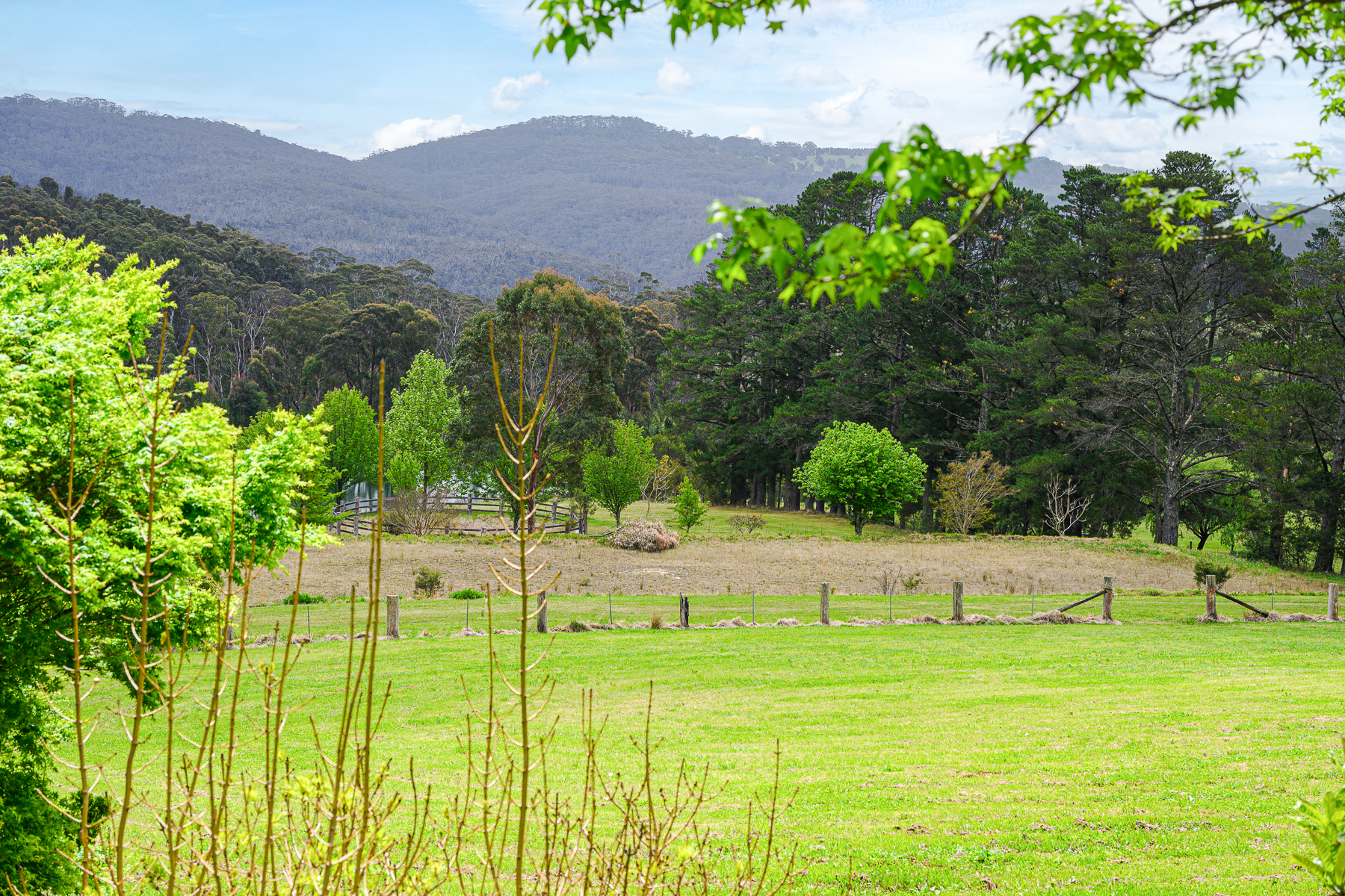 Bilpin Mountains Weddings-2451608