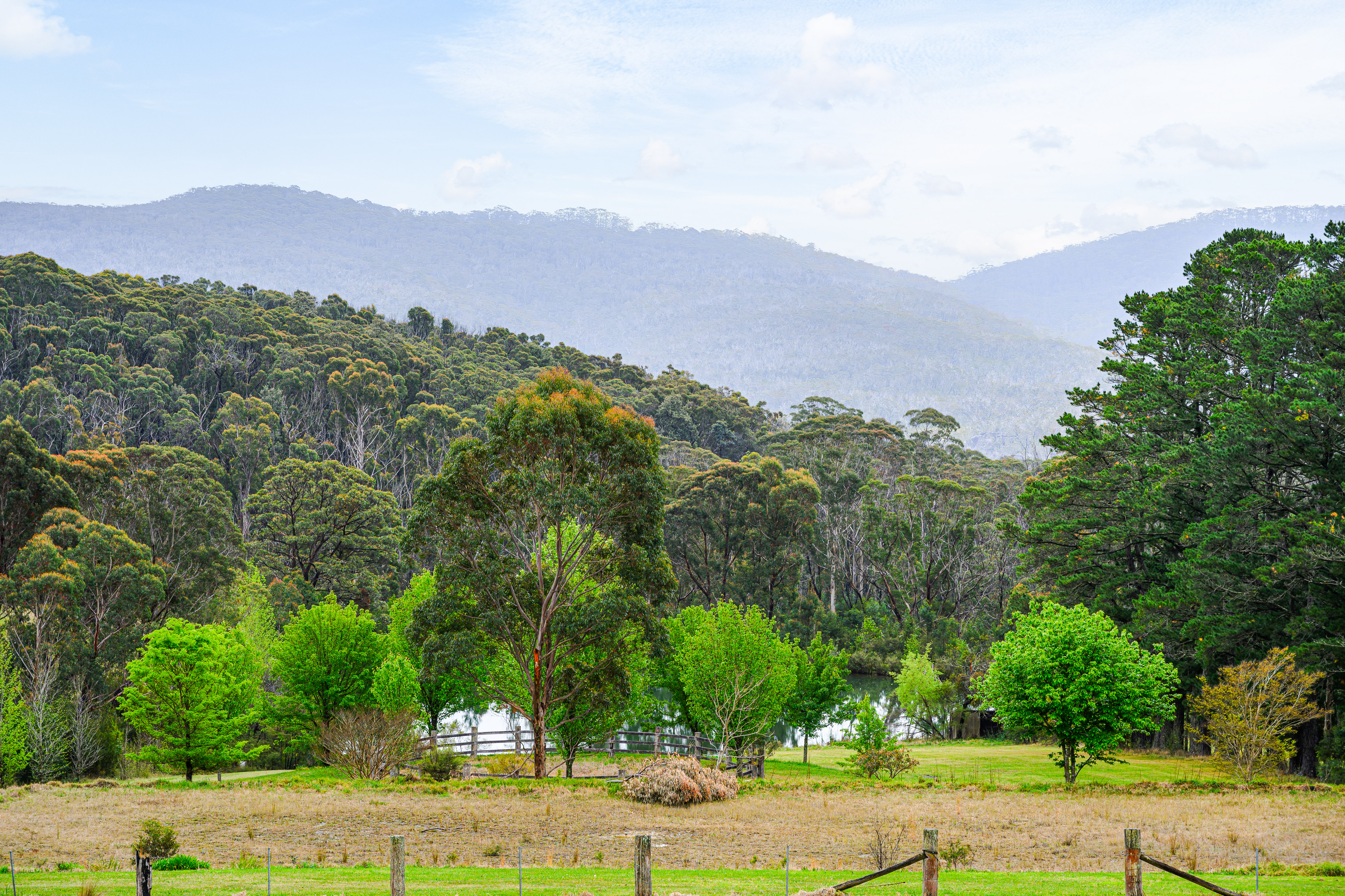 Bilpin Mountains Weddings-2451611