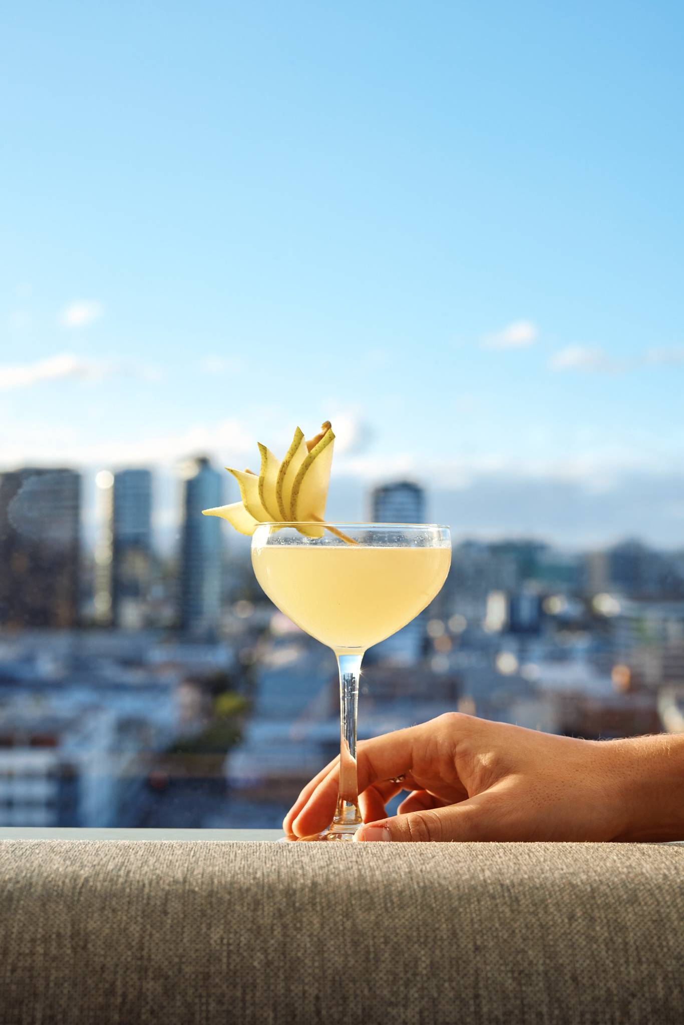 Iris Rooftop-2522792