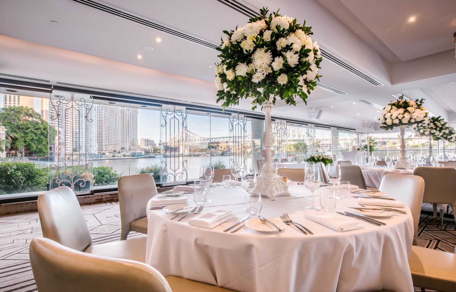 Blackbird Brisbane-2522726