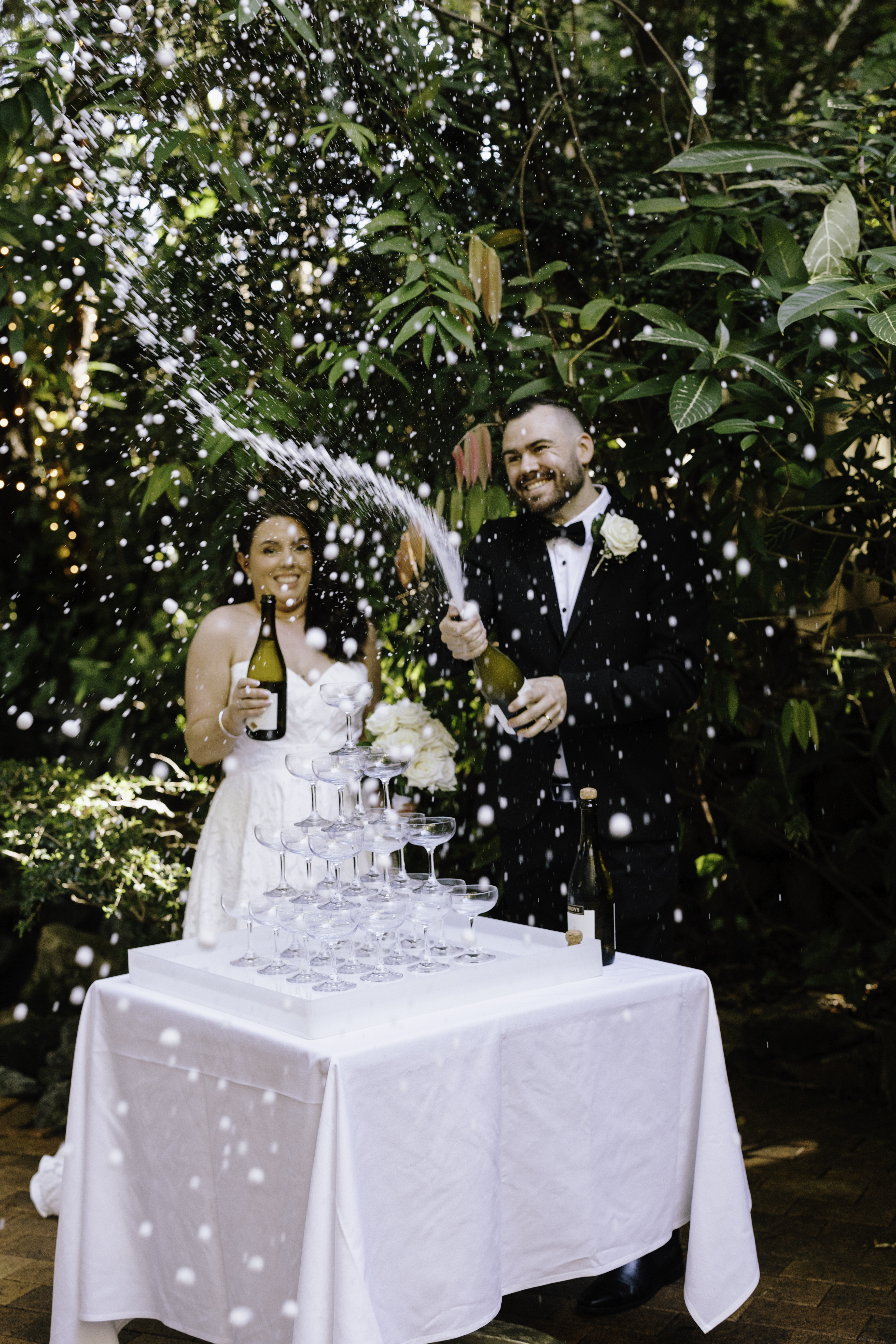 Boulevard Gardens-2414607