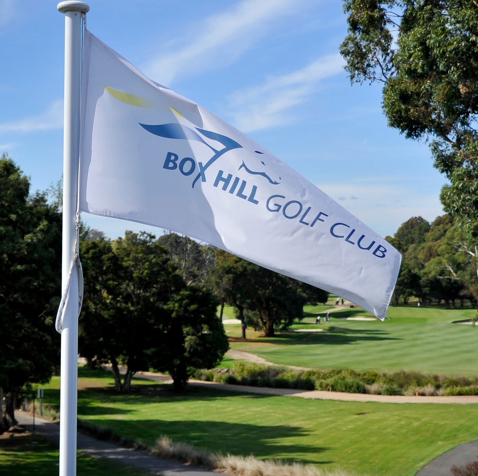 Box Hill Golf Club-2372072