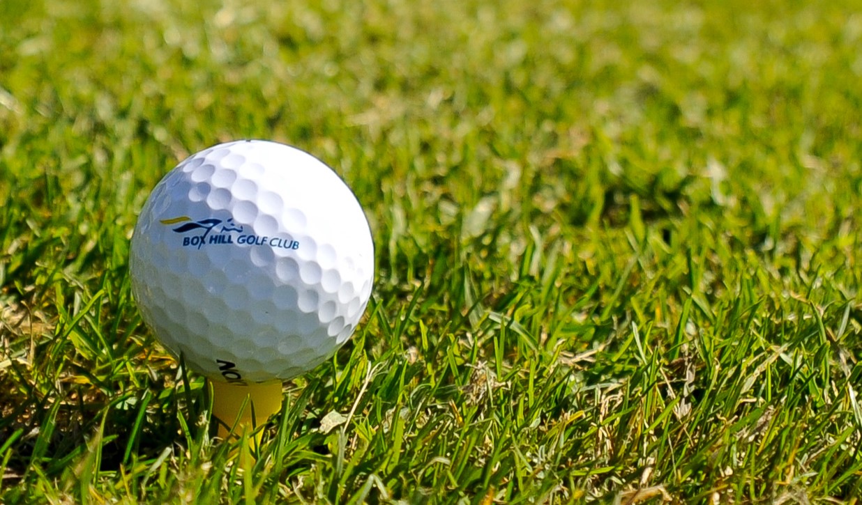 Box Hill Golf Club-2372069