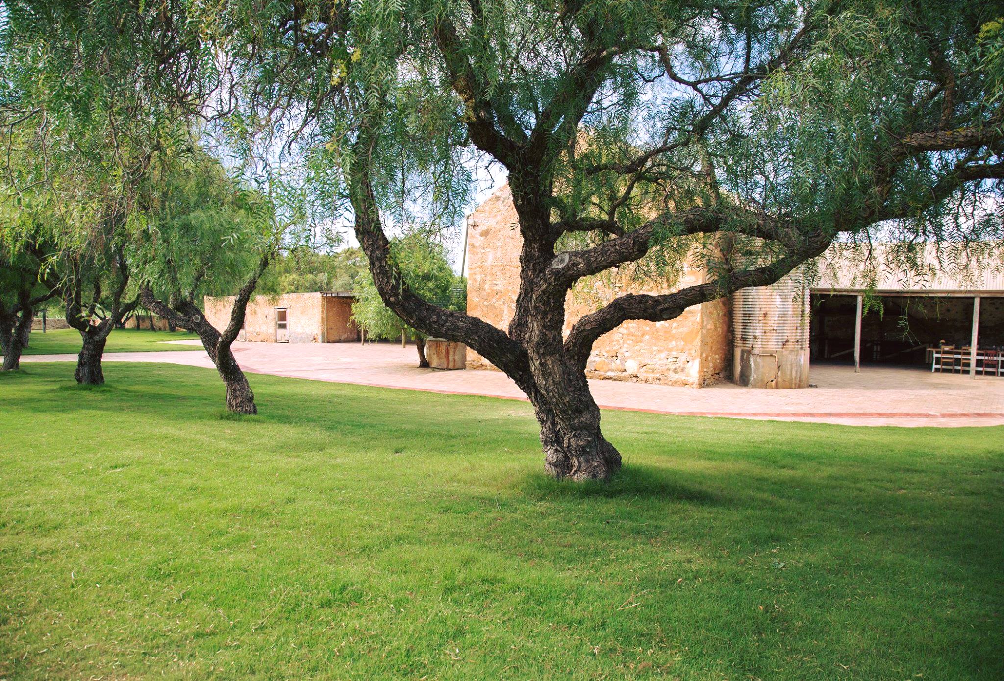 Bremer Farm Event Venue-2121003